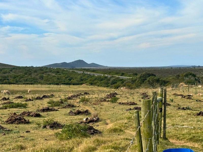 4 Bedroom Property for Sale in Mossel Bay Rural Western Cape